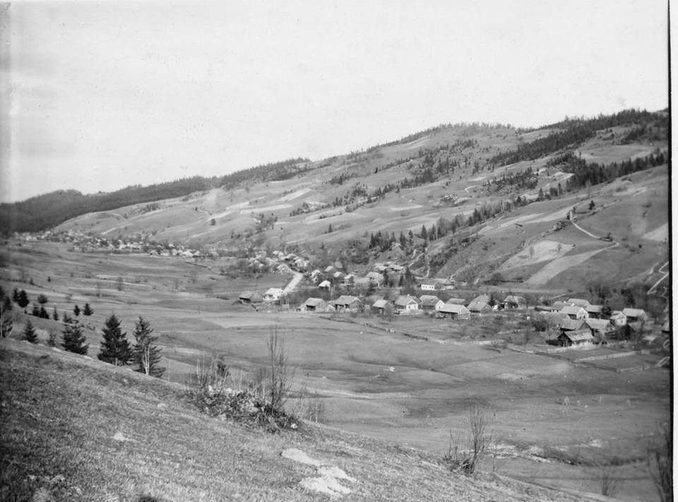 Poiana Micului