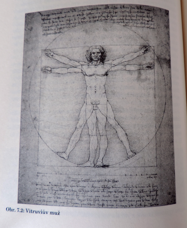Vitruviův muž, Leonardo da Vinci
