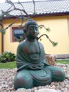 Budha