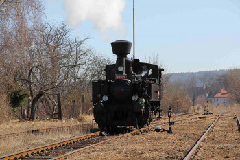 Lokomotiva řady 310, Kafemlejnek